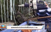 สุดสงสารตัวเงินตัวทองติดซี่รั้วบ้านนาน 3 ชม.