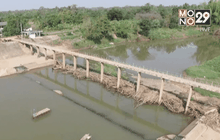 สาหร่ายปกคลุมกว้านพะเยาไม่กระทบน้ำประปา