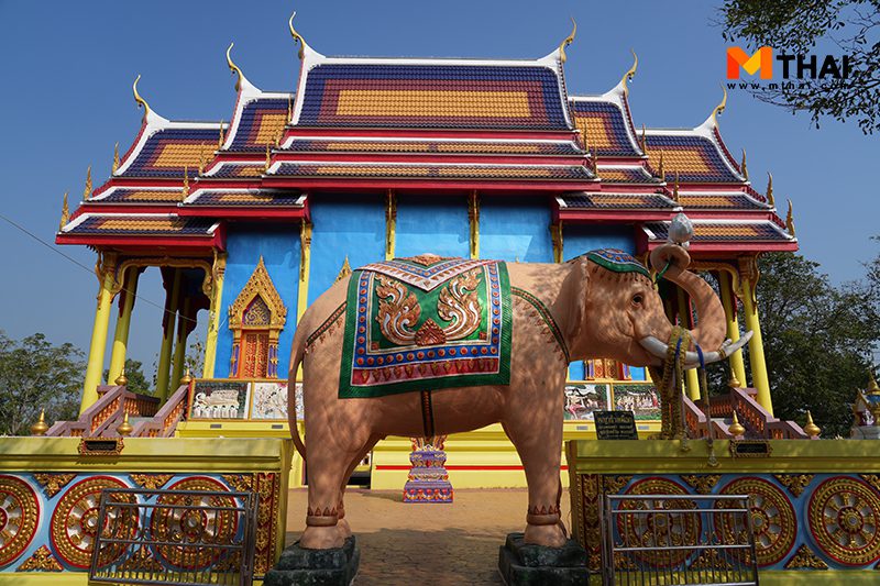 ช้าง