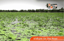 เที่ยวท่องล่องชมคลองมหาสวัสดิ์