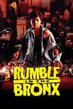 Rumble In The Bronx ใหญ่ฟัดโลก