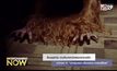 ผู้สร้างซีรีส์ The Walking Dead ลุยดัดแปลงคอมิกซ์ฮีโร่ Invincible สู่แอนิเมชั่นซีรีส์