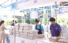 เร่งแก้ไข่ไก่ล้นตลาดวันละ 3 ล้านฟอง
