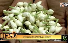 ราคาดอกมะลิทะลุกิโลกรัมละ 600 บาท