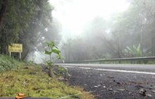 อุตุฯเผยเหนือ-อีสานอากาศเย็น เตือนภาคใต้รับมือฝน 25-29 พ.ย.