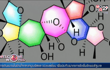 สมุนไพรจีนได้ผลดีกับผู้ป่วยโรคเอดส์