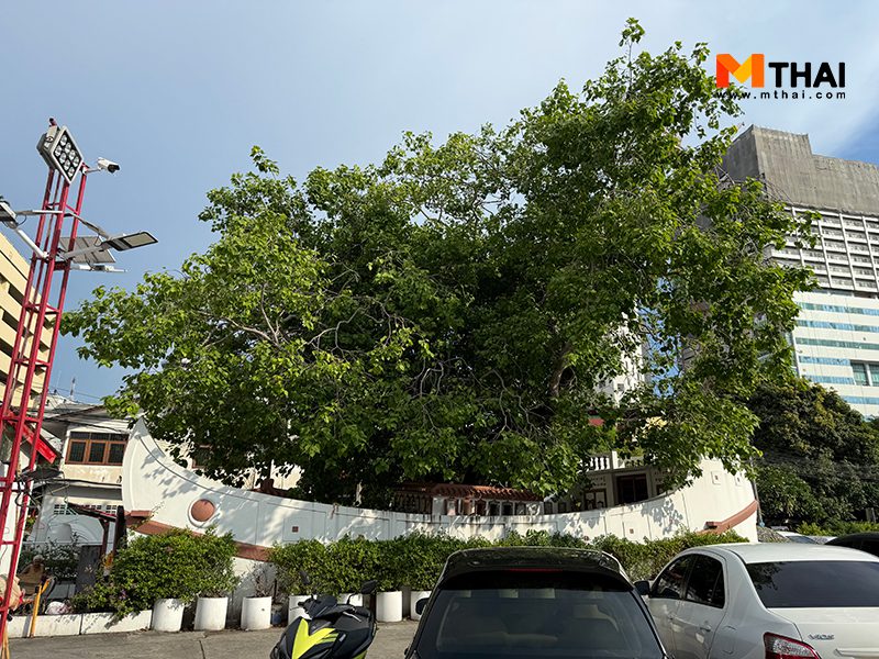 เรือสำเภา
