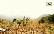 Good Morning Thailand 03-04-59