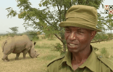 แรดขาวเหนือ 3 ตัวสุดท้ายในเคนยา