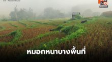 สภาพอากาศวันนี้ อากาศเย็น – มีหมอกหนาบางพื้นที่