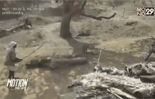 เสือดาวบุกทำร้ายคนในอินเดีย