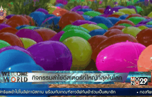 กิจกรรมล่าไข่อีสเตอร์ที่ใหญ่ที่สุดในโลก