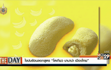 ไขปมร้อนลอกสูตร  “โตเกียว บานาน่า เมืองไทย”