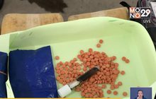 จับขบวนการค้ายามูลค่านับล้าน