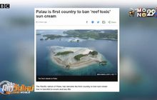 “ปาเลา” แบน “ครีมกันแดด” เป็นพิษต่อแนวปะการัง