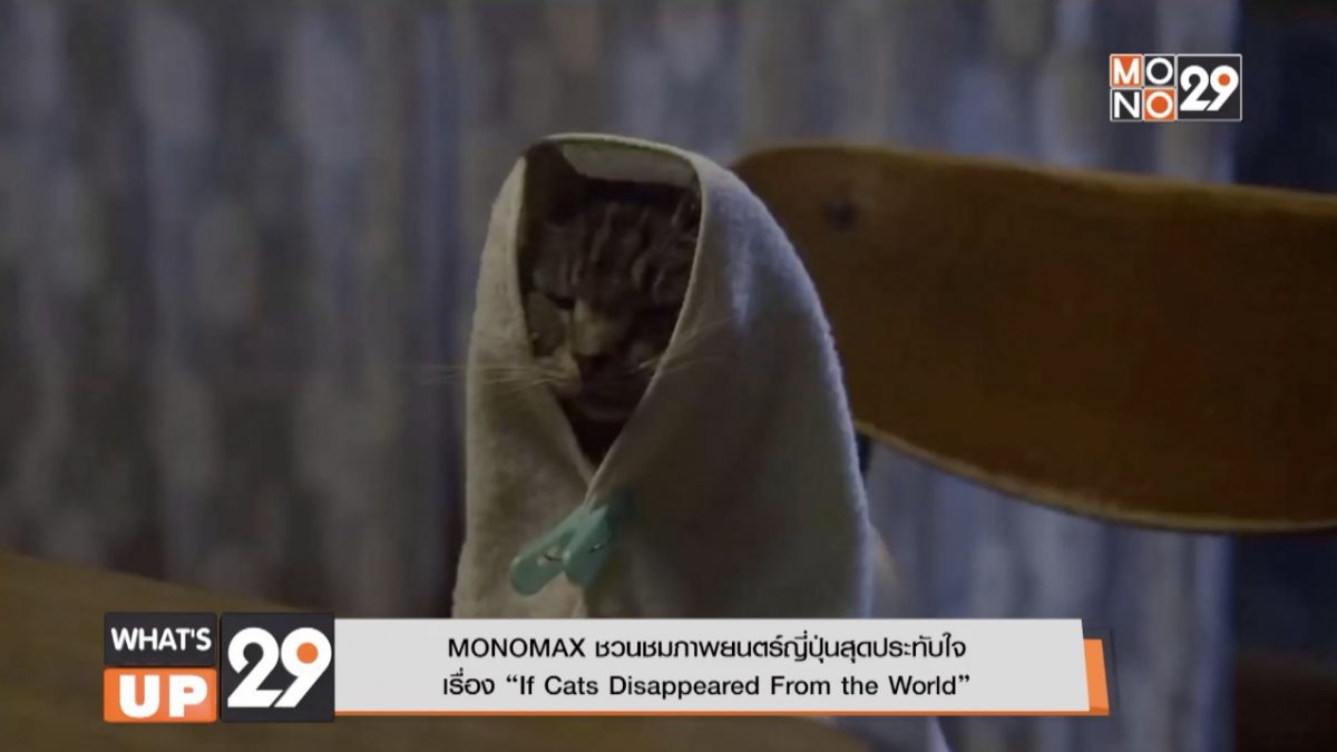MONOMAX ชวนชมภาพยนตร์ญี่ปุ่นสุดประทับใจ เรื่อง “If Cats Disappeared From the World”