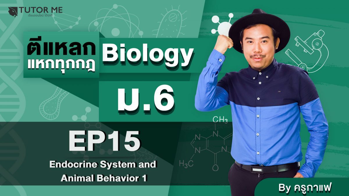 EP 15 Endocrine System anh Animal Behavior 1