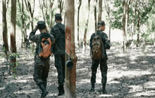 ยังไม่พบ “พลายงายาว” ช้างป่าทำร้ายชาวบ้าน