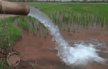 ภัยแล้งส่อเค้ารุนแรง