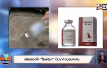 เจอยาสลบที่ใช้กับสัตว์ในตัวอย่างน้ำของนักวิ่งที่โดนวางยา