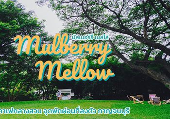 Mulberry Mellow คาเฟ่กลางสวน จุดพักผ่อนที่ลงตัว กาญจนบุรี