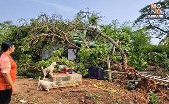 โคราช ช้ำ! พายุฤดูร้อนพัดถล่มกลางดึก บ้านเรือนพังเสียหายกว่า 20 หลัง