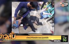 เจ้าหน้าที่จับหมีควายแม่ลูกสำเร็จ