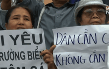 ประท้วงเหตุปลาตายจำนวนมากในเวียดนาม