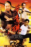 Choy Lee Fut ไอ้หนุ่มกังฟูสู้ท้าลุย