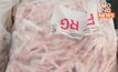 บก.ปคบ.จับลักลอบนำเข้าตีนไก่เถื่อนกว่า 6 ตัน เสี่ยงแพร่โรคระบาด