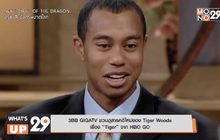3BB GIGATV ชวนดูสารคดีใหม่ของ Tiger Woods เรื่อง “Tiger” จาก HBO GO