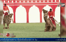 การแสดงโลดโผนร่วมกับอูฐในอินเดีย