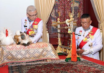 เปิดความหมาย แมว-ไก่ขาว สิ่งของอันเป็นมงคล ในพระราชพิธีเฉลิมพระราชมณเฑียร