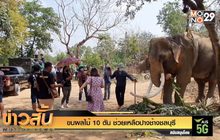 ขนผลไม้ 10 ตัน ช่วยเหลือปางช้างชลบุรี