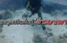 ​The Morning – เปิดแผน “มาหยาโมเดล” ชูการท่องเที่ยวเชิงอนุรักษ์