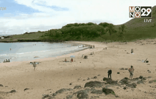 ไข้เลือดออกเดงกีระบาดบนเกาะอีสเตอร์