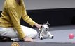 “โซนี” เปิดตัวหุ่นยนต์สุนัข Aibo รุ่นใหม่
