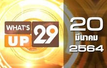 What’s up 29 20-03-64