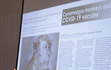 ไทยเริ่มทดสอบวัคซีนต้านโควิด-19 ในลิง