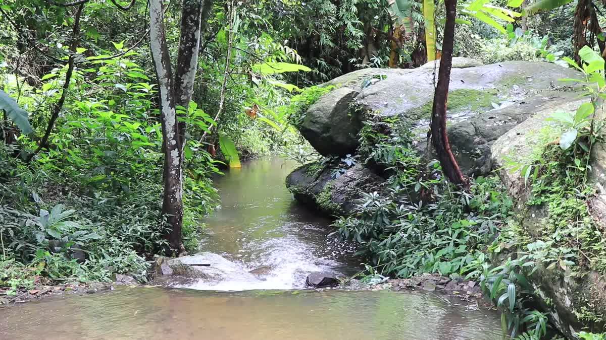 สั่ง 15 อุทยานแห่งชาติ จับสัญญาณน้ำป่าทะลักน้ำตก-แหล่งเที่ยวทางน้ำ
