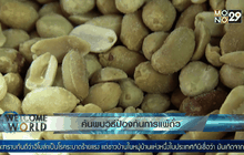 ค้นพบวิธีป้องกันการแพ้ถั่ว