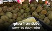 บุกน่าน! โปรทุเรียน 1 บาท จำกัด 200 สิทธิ์