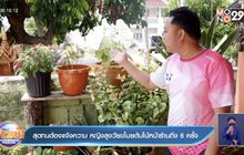 สุดทนต้องแจ้งความ หญิงสูงวัยขโมยต้นไม้หน้าร้านถึง 6 ครั้ง