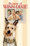 Because of Winn-Dixie วินน์-ดิ๊กซี่ เพื่อนแท้พันธุ์ตูบ