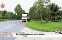 โรงงานหลายแห่งงดรับซื้อปาล์มน้ำมัน