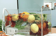 เครื่องล้างผักโอโซน นวัตกรรมเพื่อสุขภาพ