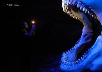 ศุลกากรฉงชิ่ง เจอฟอสซิลฟันฉลามยักษ์แสนปี ‘เมกาโลดอน’ ในกล่องพัสดุ