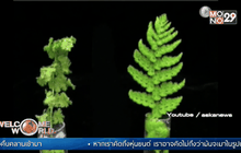 “พืชคืนชีพ” รับมือปัญหาโลกร้อน