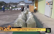 “แม่โจ้” มอบกัญชา เพื่อการแพทย์ 400 กก.