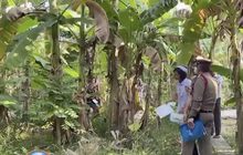 พิษเศรษฐกิจ พ่อค้าตลาดนัดลาโลก